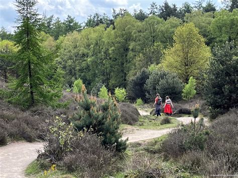 Wandelend daten: samen wandelen kan zoveel meer。